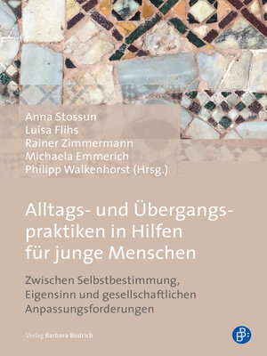 cover image of Alltags- und Übergangspraktiken in Hilfen für junge Menschen
